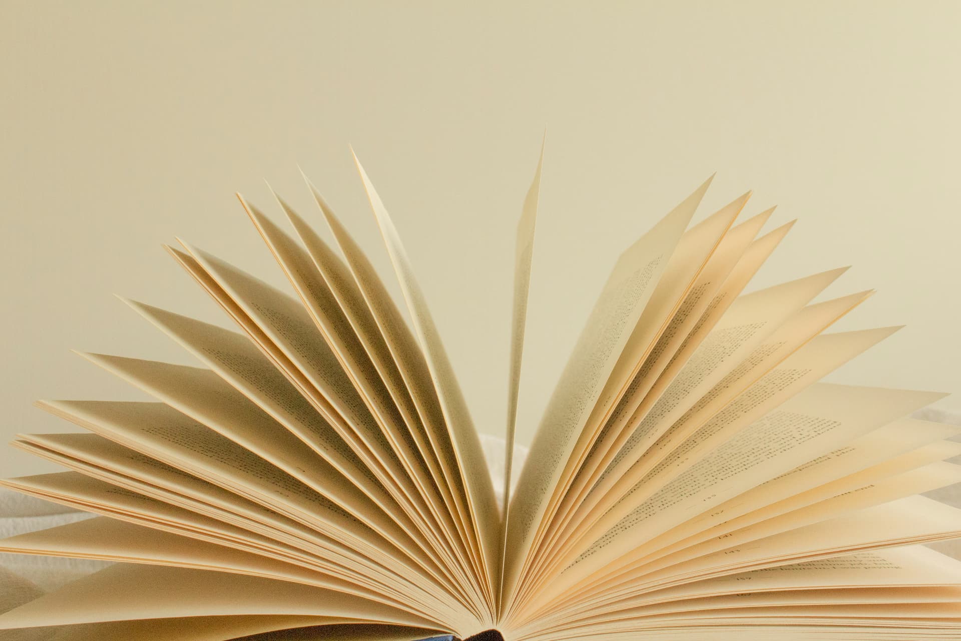 Visuel par défaut : livre ouvert aux pages en éventail